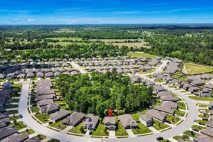 127 Worley Way, Huntsville, TX 77320 - Photo 41