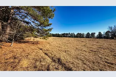 Tbd #7 County Road 477, Henderson, TX 75654 - Photo 3