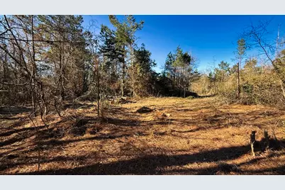 Tbd #7 County Road 477, Henderson, TX 75654 - Photo 19