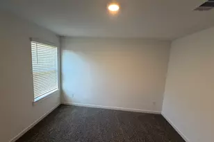 31603 Chollerford Ct, Fulshear, TX 77441 - Photo 23