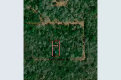 26663 Mockingbird Lane, Hempstead, TX 77445 - Photo 1