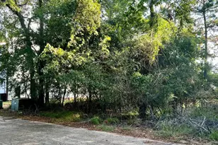 3106 Poe Dr, Montgomery, TX 77356 - Photo 1