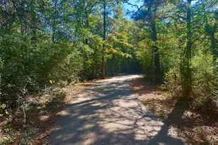 3318 Iron Pne Ln, Conroe, TX 77301 - Photo 37