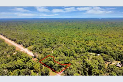 141 County Road 431, Dayton, TX 77535 - Photo 19