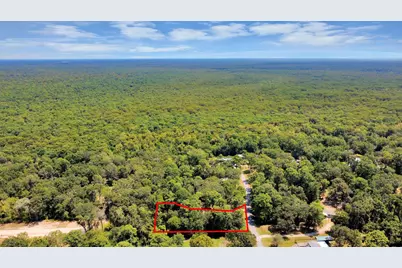 141 County Road 431, Dayton, TX 77535 - Photo 21