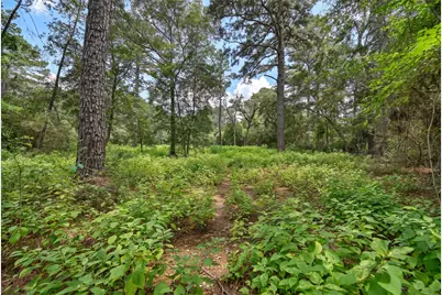 Tba North Section 3340 Cr 325, Navasota, TX 77868 - Photo 5