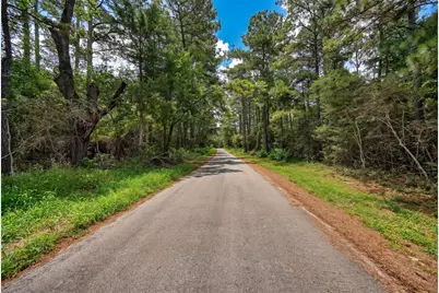 Tba North Section 3340 Cr 325, Navasota, TX 77868 - Photo 1