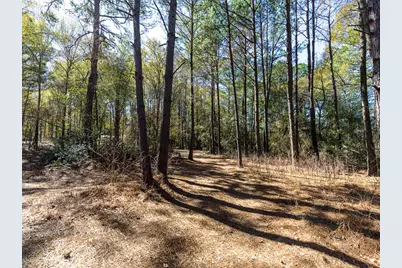 11201 County Road 203, Plantersville, TX 77363 - Photo 45