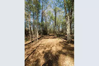 11201 County Road 203, Plantersville, TX 77363 - Photo 47