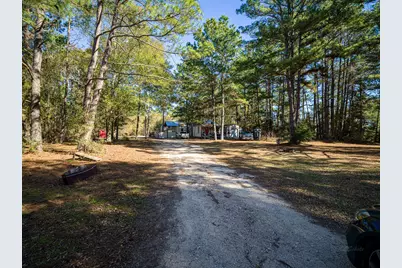 11201 County Road 203, Plantersville, TX 77363 - Photo 5