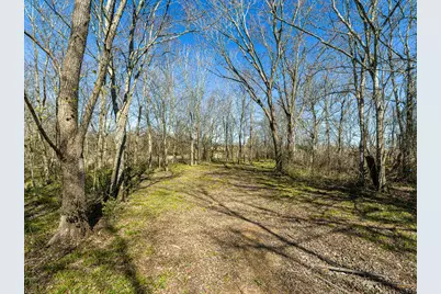 11201 County Road 203, Plantersville, TX 77363 - Photo 43