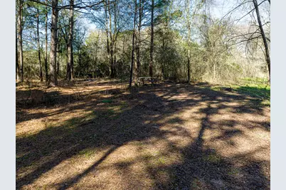 11201 County Road 203, Plantersville, TX 77363 - Photo 41