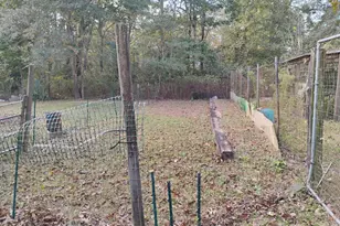 389 Rockdale, Livingston, TX 77351 - Photo 11