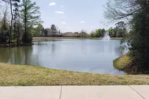 6206 Blue Coast Ln, Conroe, TX 77304 - Photo 31