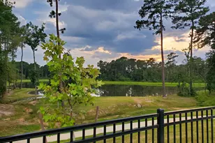 14847 Whistling Duck Ln, Magnolia, TX 77354 - Photo 3