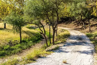 247 Acres Hwy-16, Kerrville, TX 78028 - Photo 11