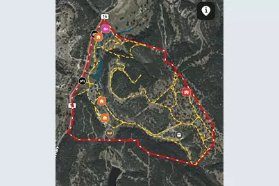 247 Acres Hwy-16, Kerrville, TX 78028 - Photo 39