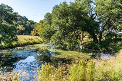 247 Acres Hwy-16, Kerrville, TX 78028 - Photo 15