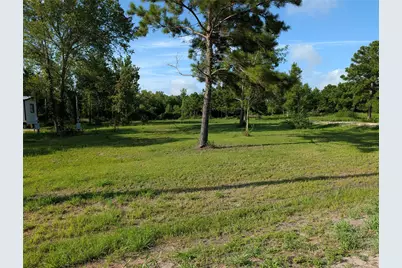 480 Road 48619, Dayton, TX 77535 - Photo 5