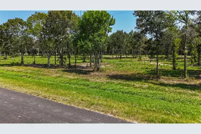 1977 County Road 105, Devers, TX 77538 - Photo 17