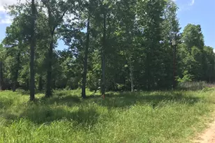 Tbd Arrowhead Trail, Livingston, TX 77351 - Photo 1