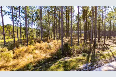 141516 Big Buck Drive, Moscow, TX 75960 - Photo 7