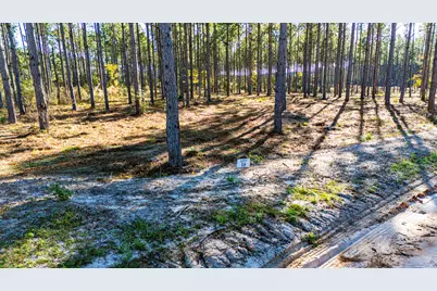 141516 Big Buck Drive, Moscow, TX 75960 - Photo 5