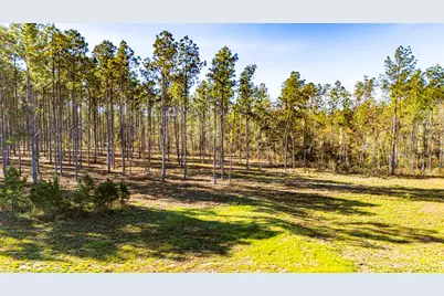 141516 Big Buck Drive, Moscow, TX 75960 - Photo 1