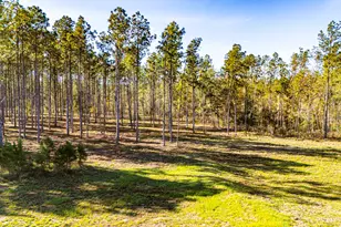 141516 Big Buck Dr, Moscow, TX 75960 - Photo 1