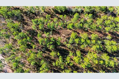 141516 Big Buck Drive, Moscow, TX 75960 - Photo 9