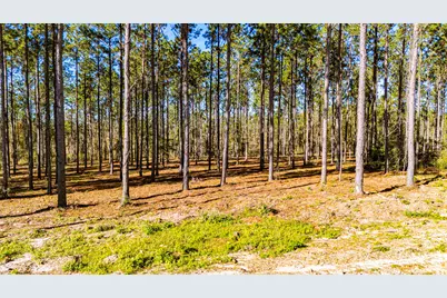 141516 Big Buck Drive, Moscow, TX 75960 - Photo 3