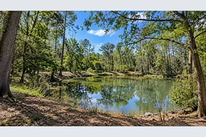 1301 Wolf Road, Huffman, TX 77336 - Photo 9
