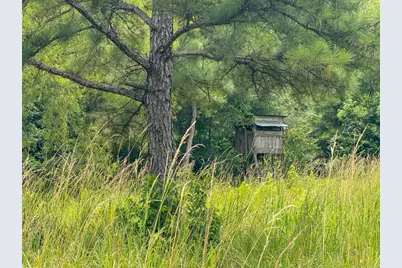 Tbd Hwy 90 N, Devers, TX 77538 - Photo 47