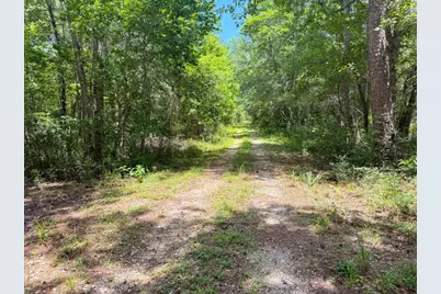 Tbd Hwy 90 N, Devers, TX 77538 - Photo 15