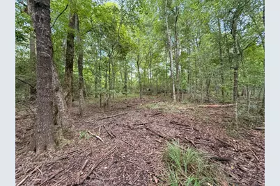 Tbd Hwy 90 N, Devers, TX 77538 - Photo 49
