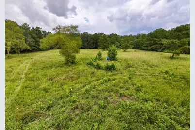 Tbd Hwy 90 N, Devers, TX 77538 - Photo 9