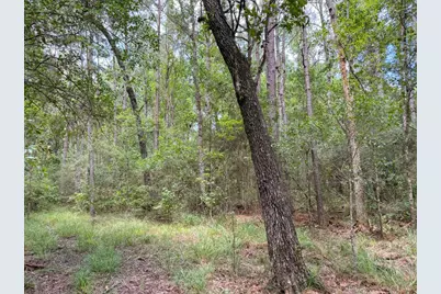 Tbd Hwy 90 N, Devers, TX 77538 - Photo 27