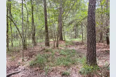 Tbd Hwy 90 N, Devers, TX 77538 - Photo 29