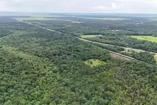 Tbd Hwy 90 N, Devers, TX 77538 - Photo 1