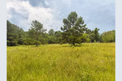 Tbd Hwy 90 N, Devers, TX 77538 - Photo 45