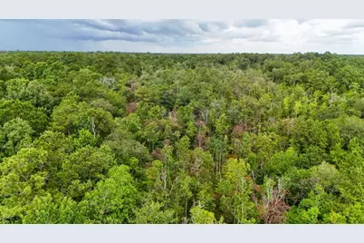 Tbd Hwy 90 N, Devers, TX 77538 - Photo 11