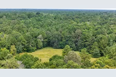 Tbd Hwy 90 N, Devers, TX 77538 - Photo 7