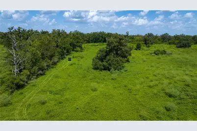 4799 County Road 652, Brazoria, TX 77422 - Photo 45