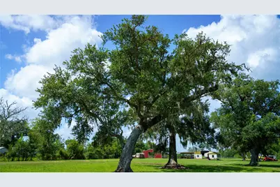 4799 County Road 652, Brazoria, TX 77422 - Photo 7