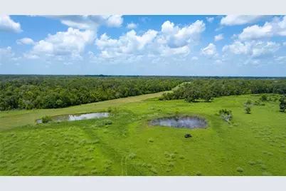 4799 County Road 652, Brazoria, TX 77422 - Photo 41