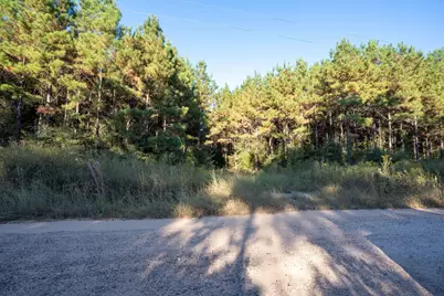 0 Bluewater Road, Livingston, TX 77351 - Photo 11