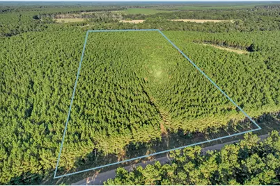 0 Bluewater Road, Livingston, TX 77351 - Photo 3