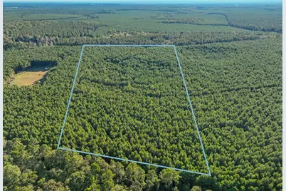 0 Bluewater Road, Livingston, TX 77351 - Photo 1