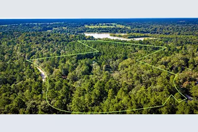 834 County Road, Goodrich, TX 77335 - Photo 21