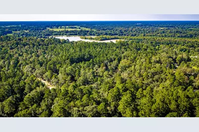 834 County Road, Goodrich, TX 77335 - Photo 33